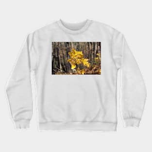 maple gold Crewneck Sweatshirt